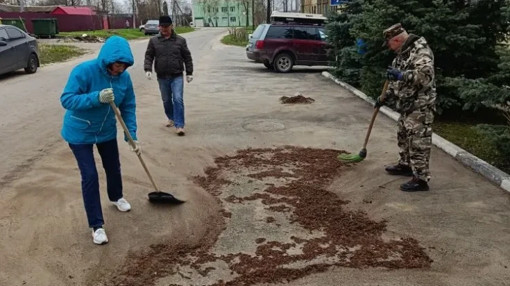 Всероссийский субботник 1